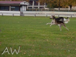 Nabun und Bruder Nabun fegt über den Platz